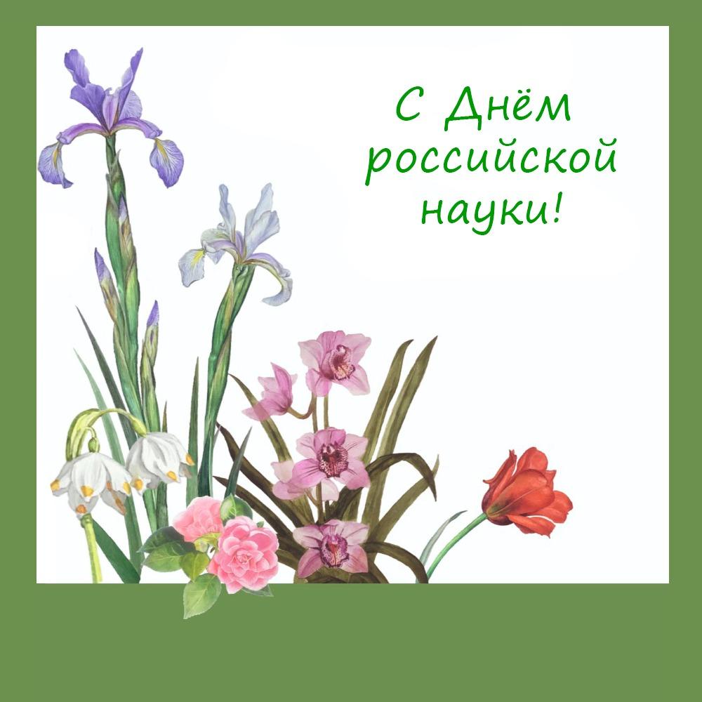8 февраля – День российской науки