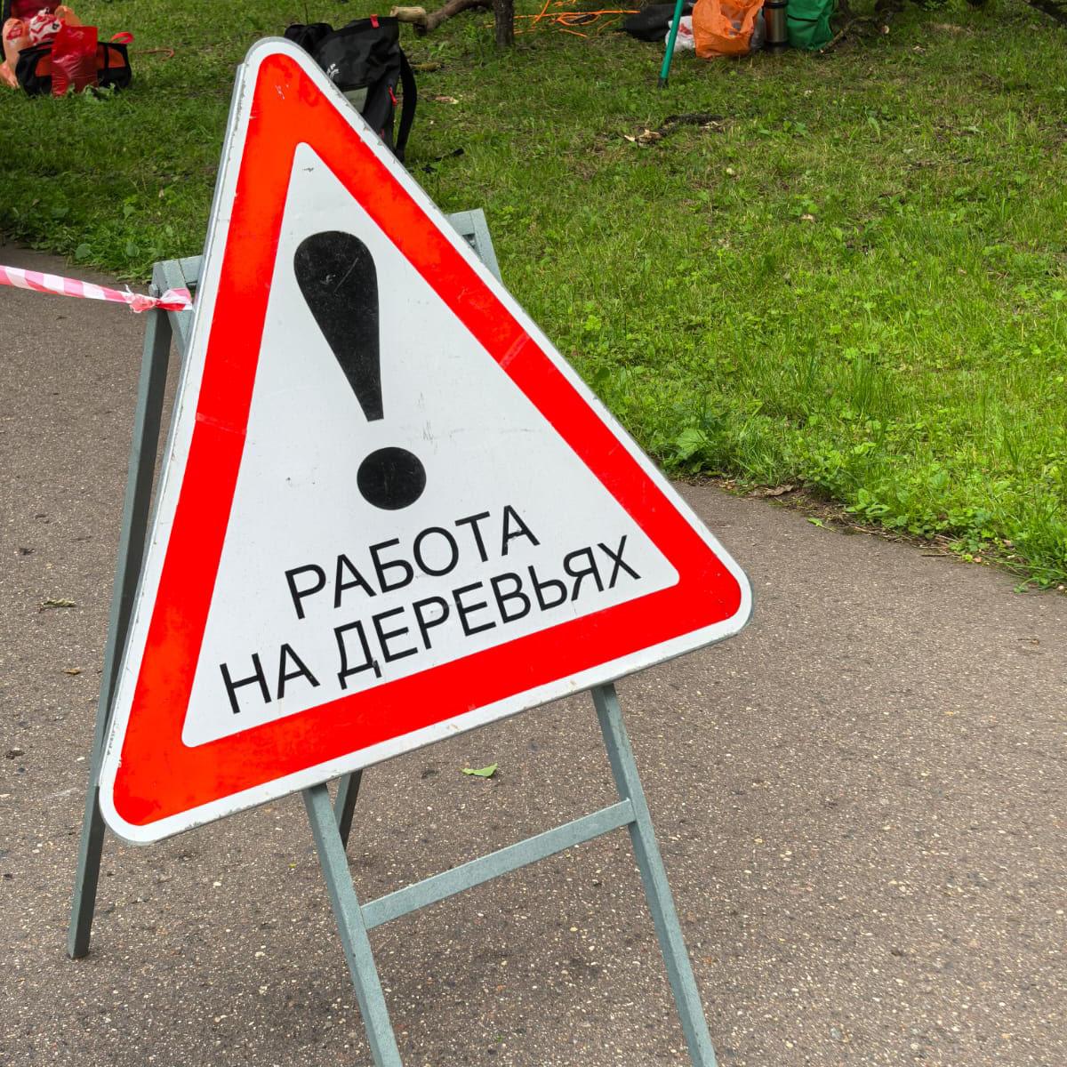Внимание, дорогие посетители Ботанического сада!