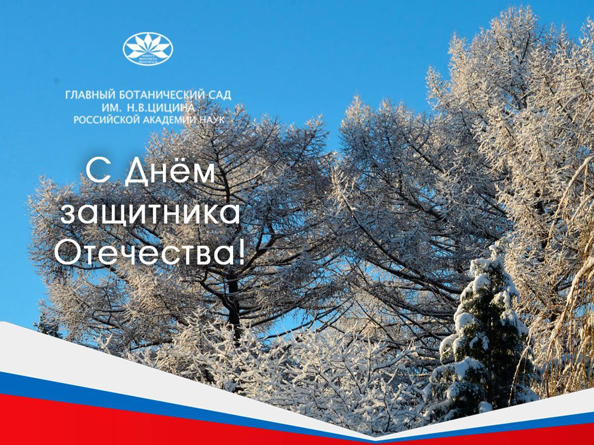 с Днём защитника Отечества