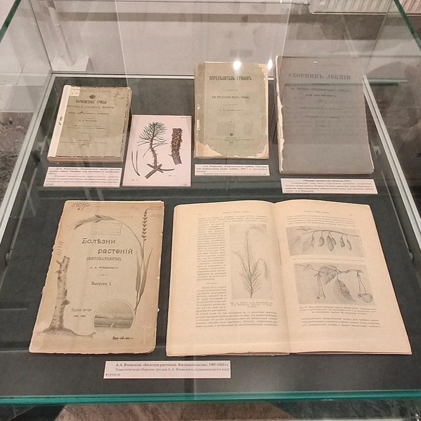 История лесной фитопатологии и микологии в России