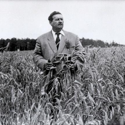 Включение «Снегирей» в структуру ГБС, 1953 г.