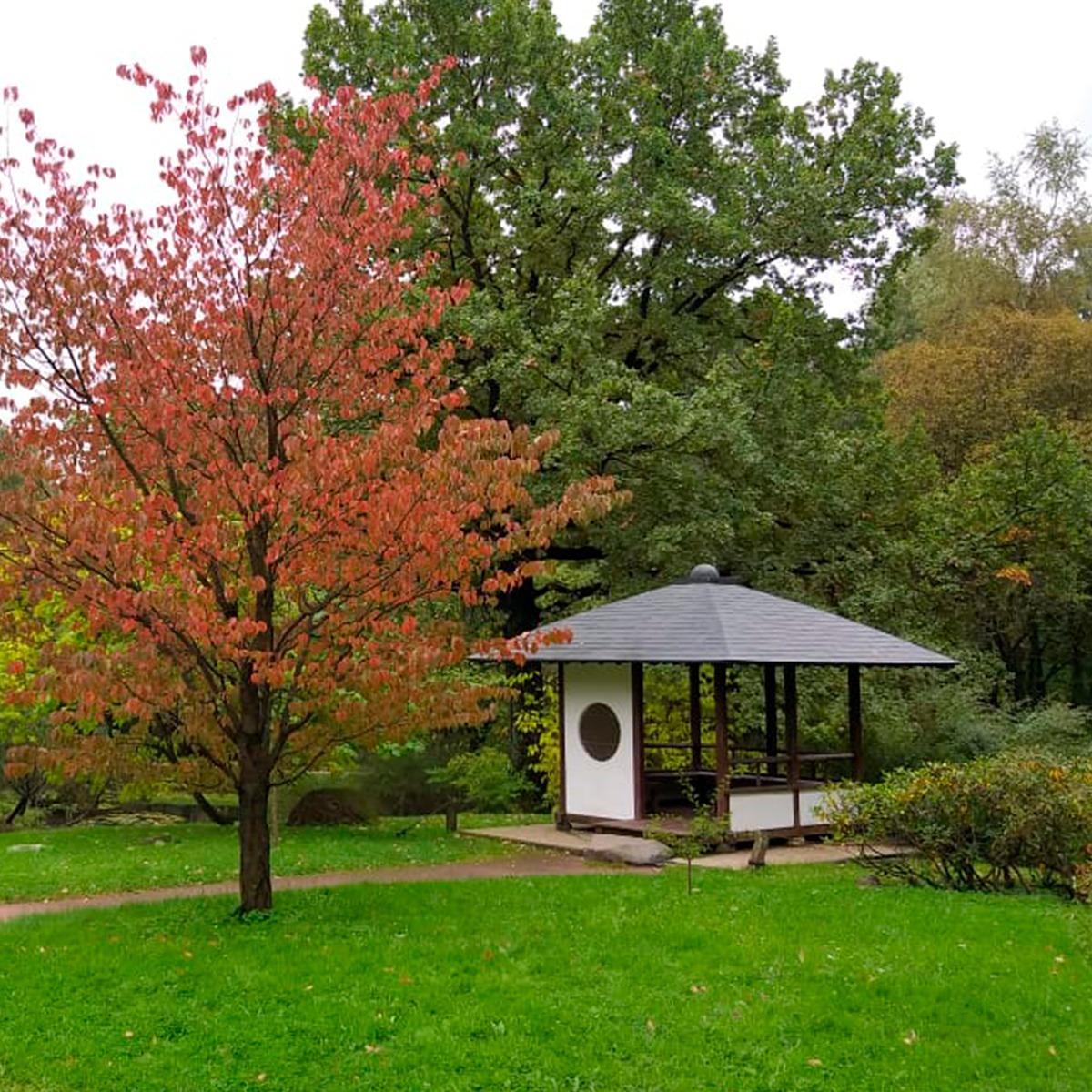 Японский сад открыт до 15 октября